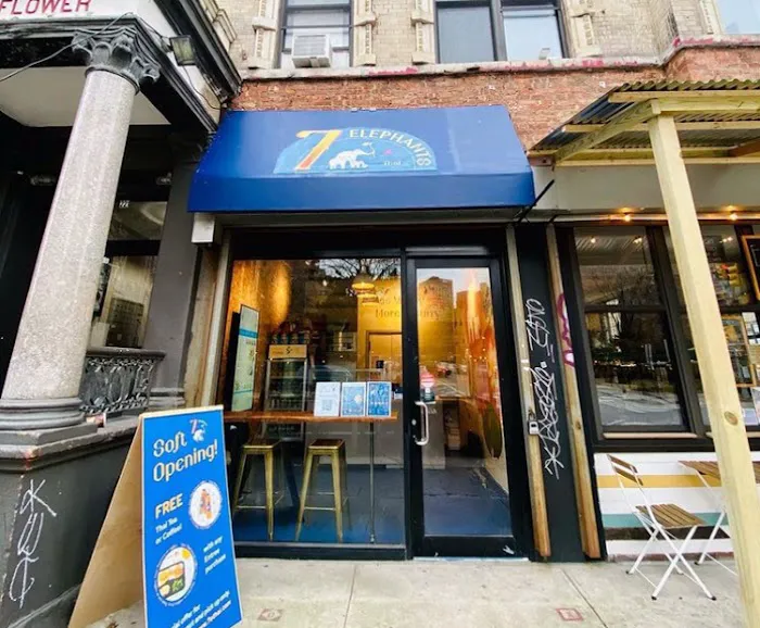 7 Elephants Picture 8