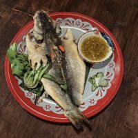 Xisan de Classic ico