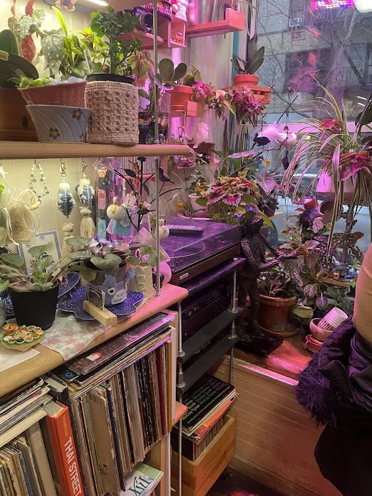 Terra Thai Picture 8