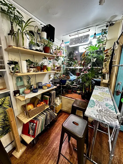 Terra Thai Picture 9