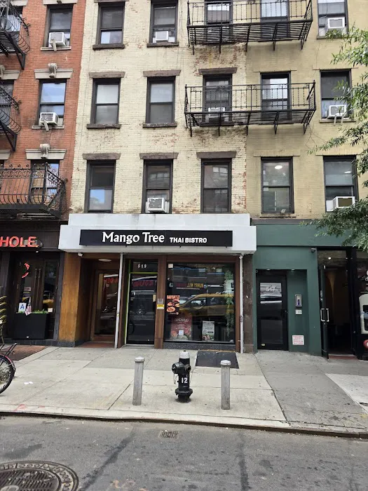 Mango tree Thai restaurant Bistro Picture 9