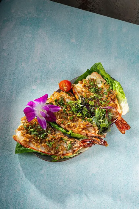 Elephant Ear Picture 3