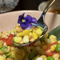 Yezo Thai Isankaya ico