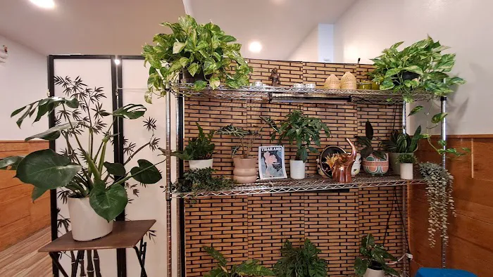 Pad Kra Prow Thai Takeout Picture 3