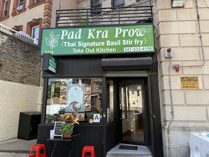 Pad Kra Prow Thai Takeout Picture 10