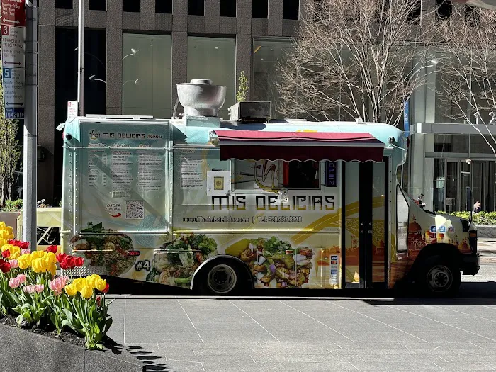 Thai mis Delicias (Truck. 4) Picture 6