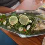 Fish Cheeks Brooklyn