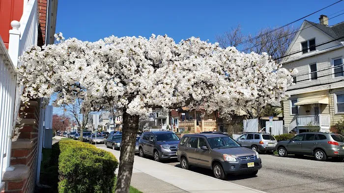 Thai O'Brien's Bar & Restaurant Picture 1