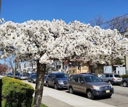 Thai O'Brien's Bar & Restaurant