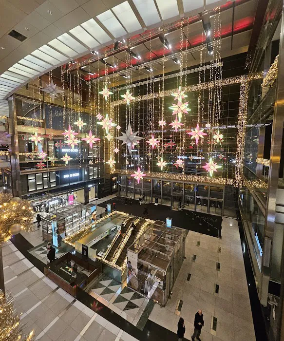 Twin Tails Picture 10