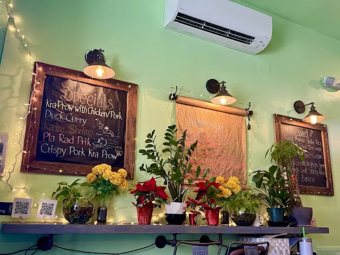 Amster Thai Picture 1