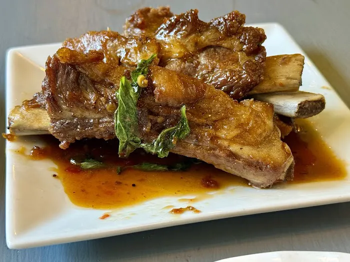 Amster Thai Picture 8