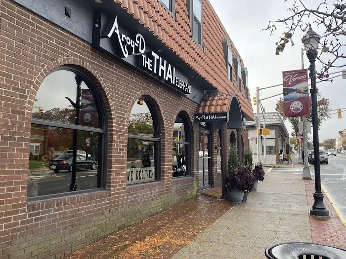 Aroy-D, The Thai Elephant Picture 8