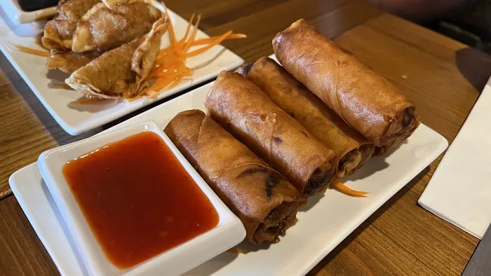 Aroy-D, The Thai Elephant Picture 2