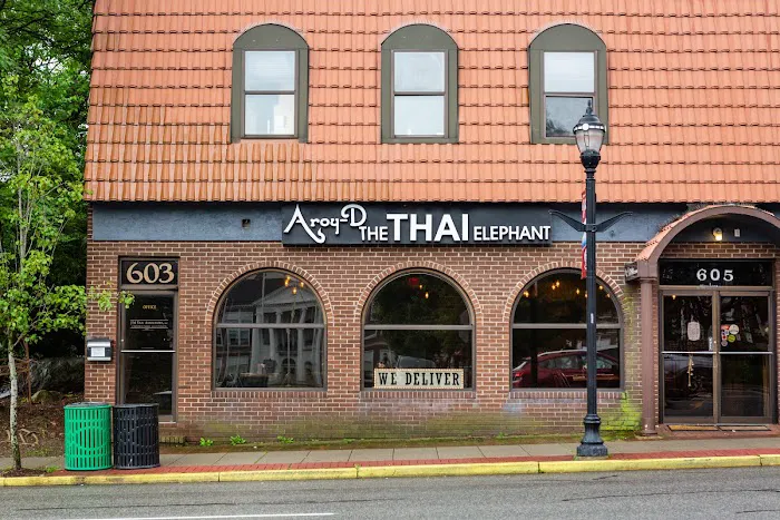 Aroy-D, The Thai Elephant Picture 10