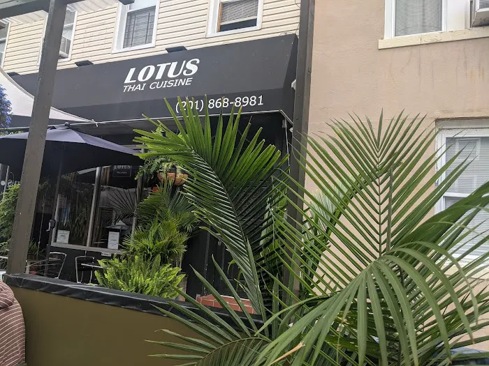 Lotus Thai Cuisine Picture 1