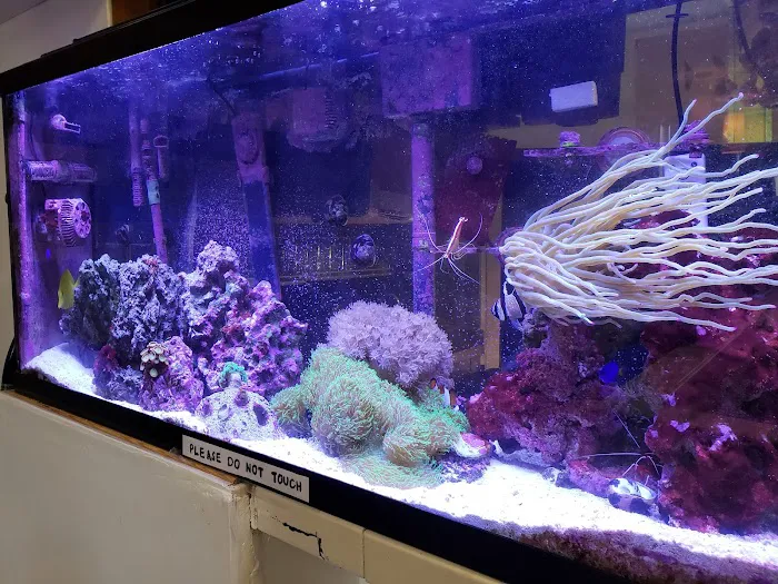 DD Thai Cuisine Picture 4