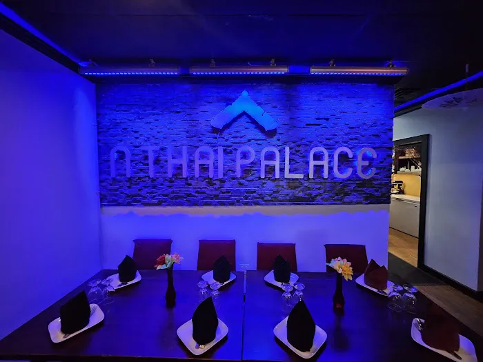 N THAI PALACE (HALAL) Picture 7