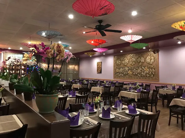 Royal Orchid Picture 7