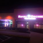Royal Orchid
