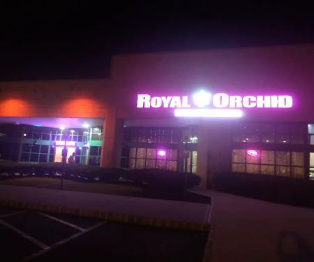 Royal Orchid