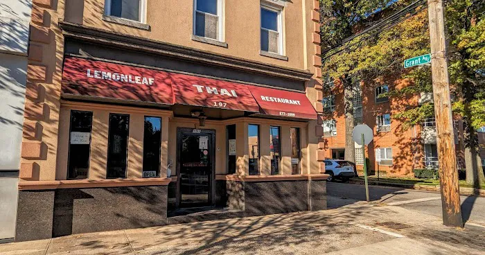 Lemon Leaf Picture 1