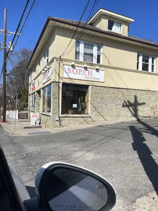 Sopah Thai Kitchen Picture 9