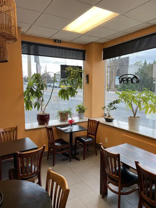 Sopah Thai Kitchen Picture 4