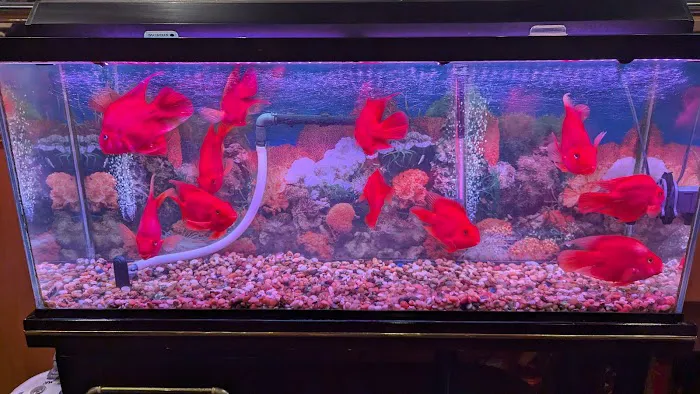 Lemonleaf Grill Picture 5