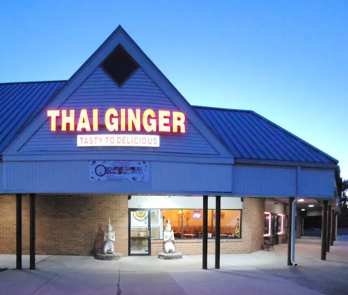 Thai Ginger Picture 3
