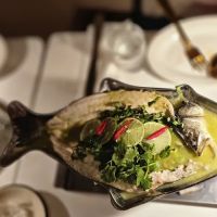 SIMILAN ON THE BAY ico