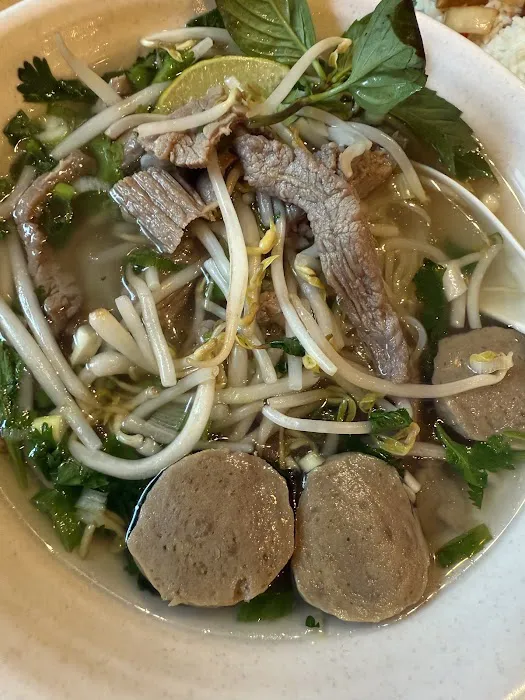 Noodle Plus Picture 2