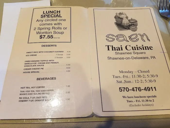 Saen Thai Cuisine Picture 3
