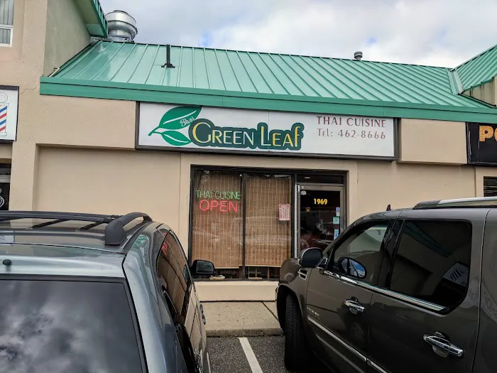 Thai Green Leaf Picture 3