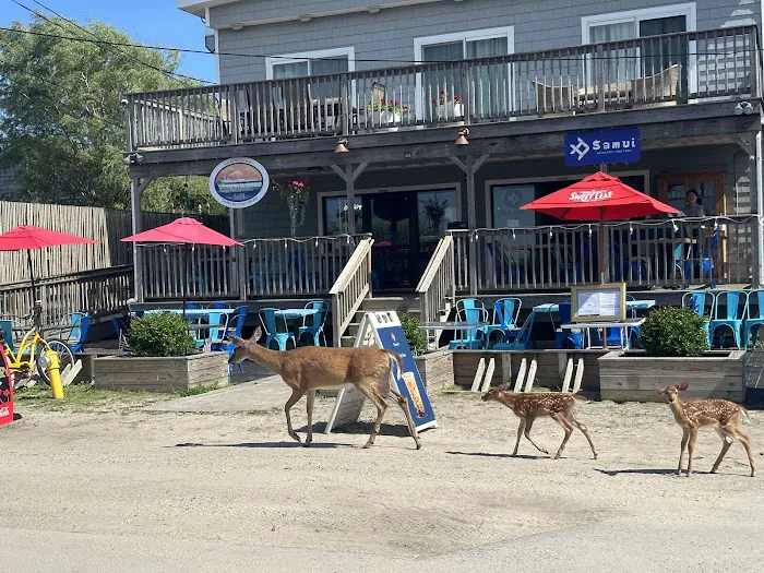 Samui Thai @Fire Island Picture 10