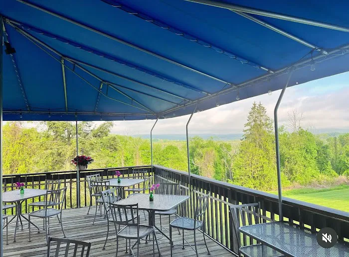 Thai Elephant 2 Picture 10