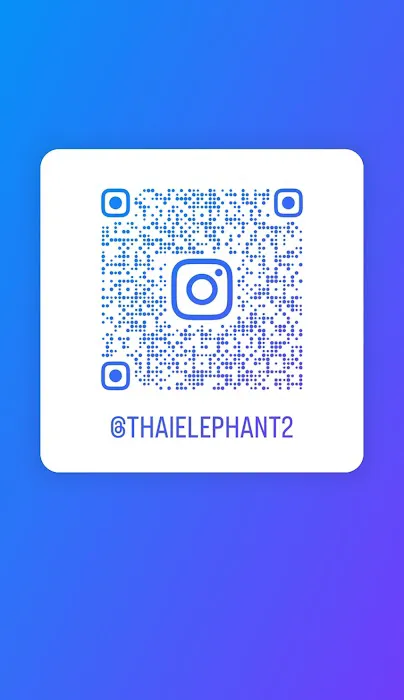 Thai Elephant 2 Picture 7