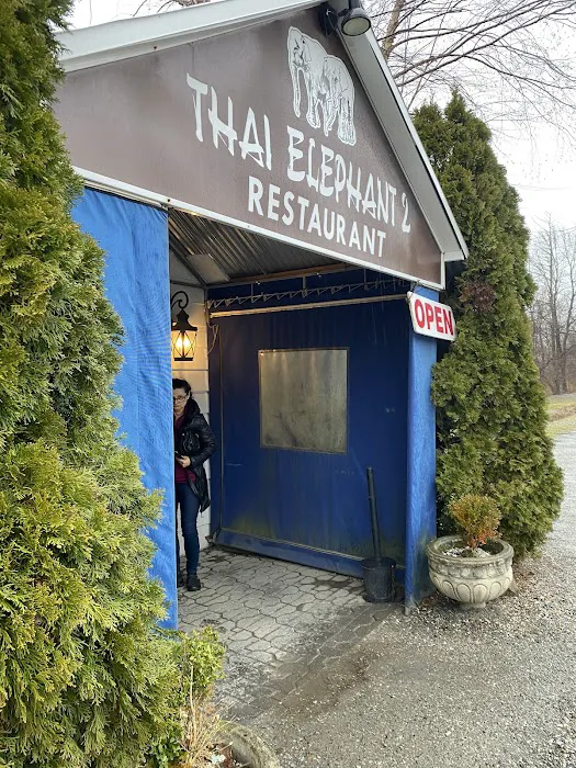 Thai Elephant 2 Picture 6