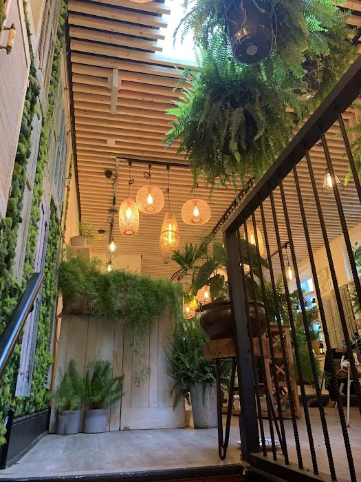 Coco Thai Bistro Picture 3