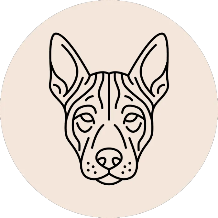 Hungry Thai (Amity) Picture 1