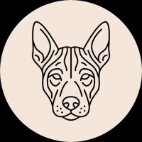 Hungry Thai (Amity) ico