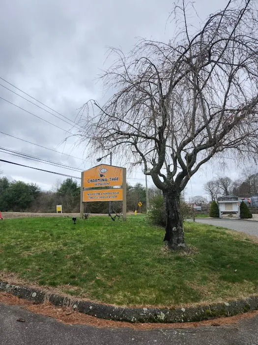 Charming-Thai Restaurant Burlington Picture 10