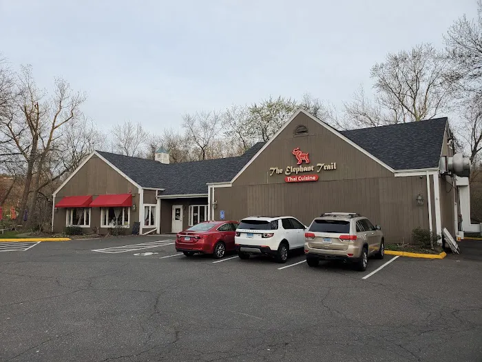 The Elephant Trail Picture 6