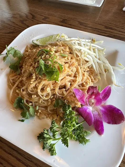 The Elephant Trail Picture 2