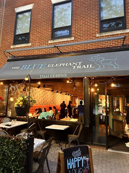 Blue Elephant Trail Picture 3