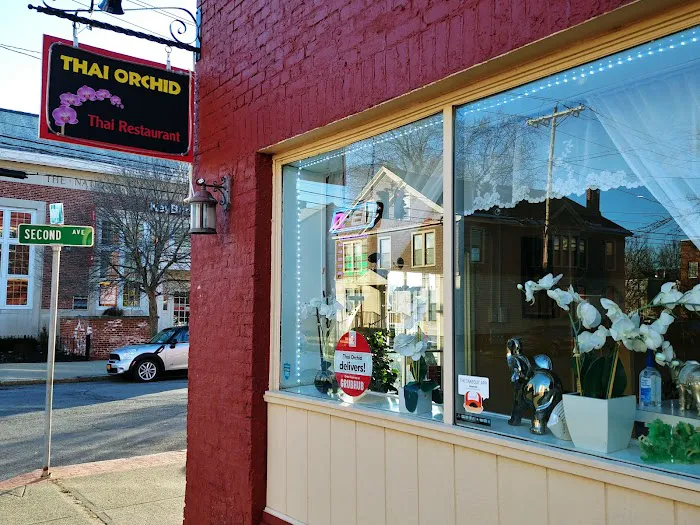 Thai Orchid Picture 6