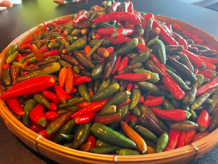 Tuk Tuk Thai Kitchen Picture 4