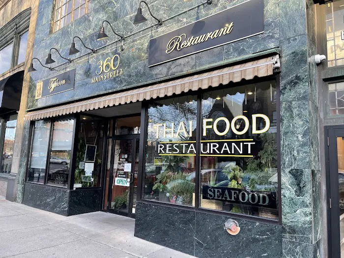 Typhoon Restaurant Picture 7