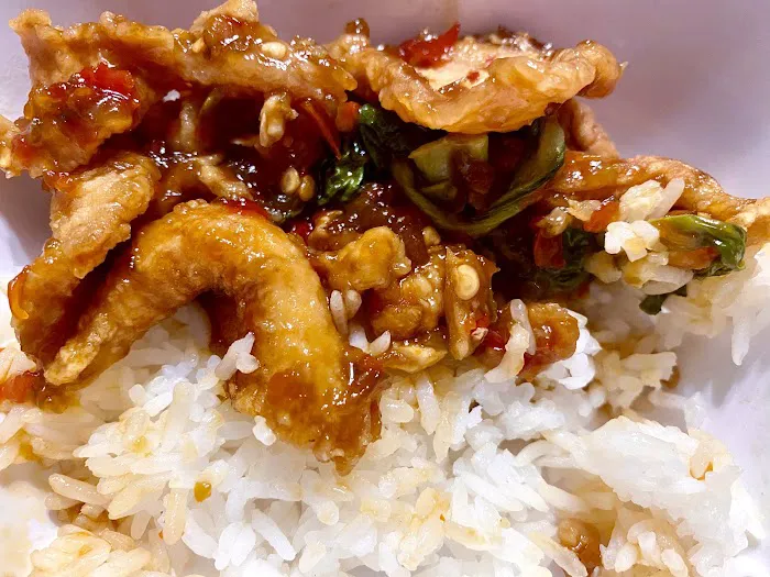 Siam Glastonbury Picture 9