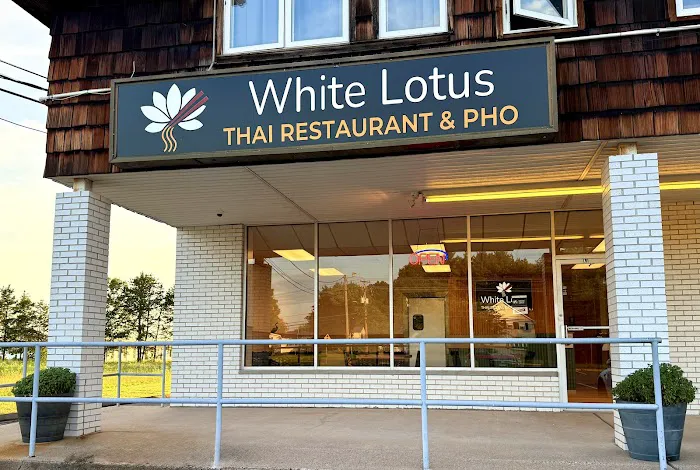 White Lotus Thai Restaurant & Pho Picture 6